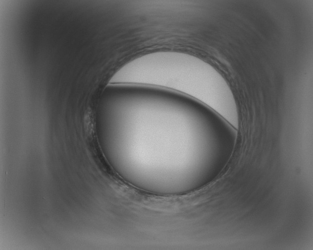 X0000074030029200608211148