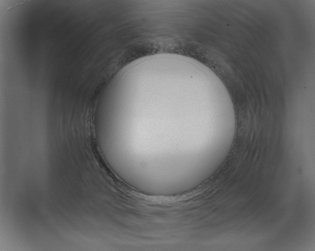 X0000074030034200608211148