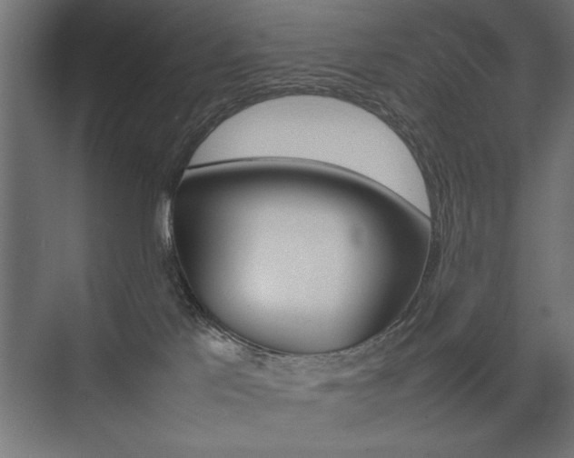 X0000074030041200608211147