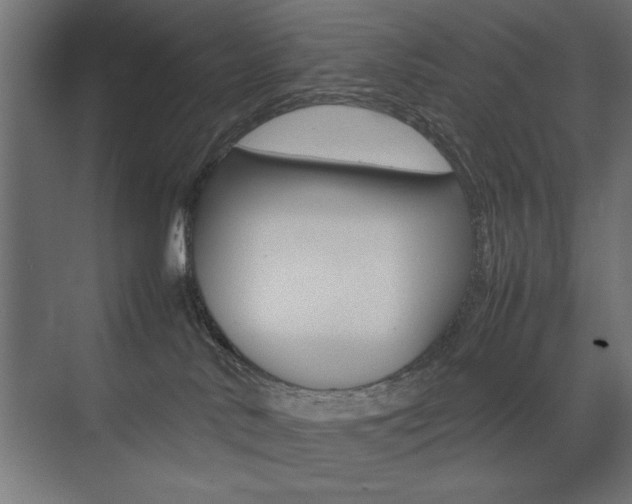 X0000074030042200608211147