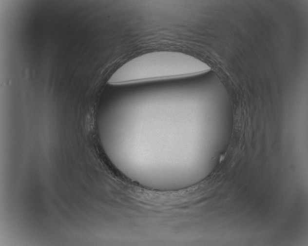 X0000074030043200608211147