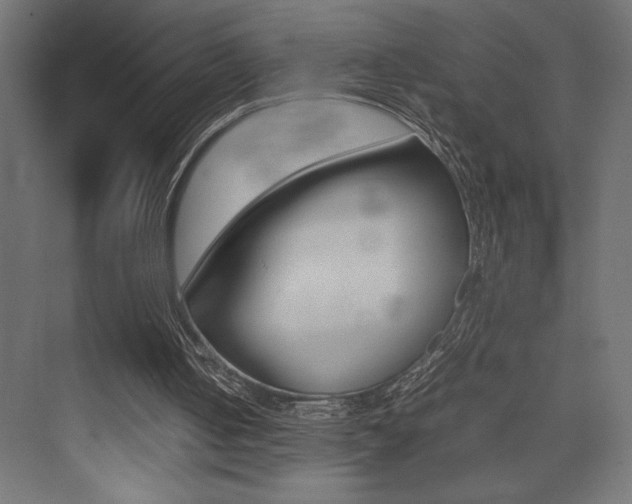 X0000074030050200608211147