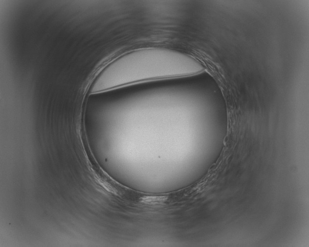 X0000074030051200608211147