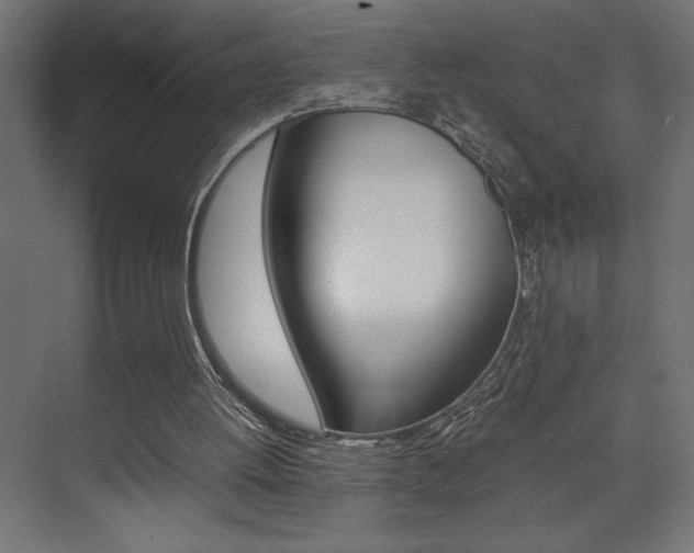 X0000074030052200608211147