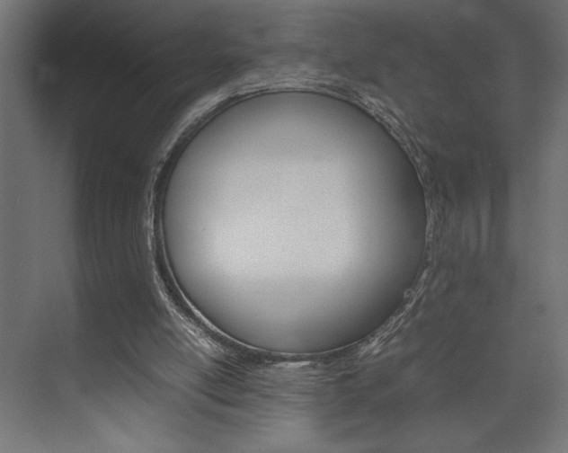 X0000074030054200608211147
