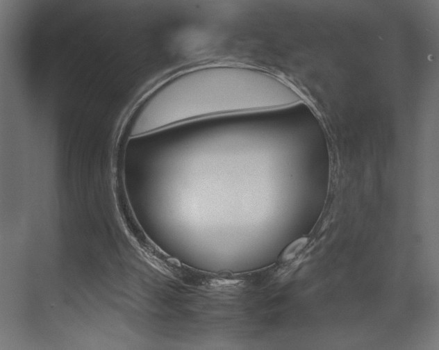 X0000074030055200608211147