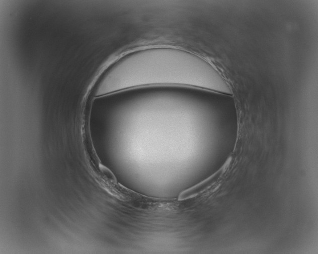 X0000074030056200608211147