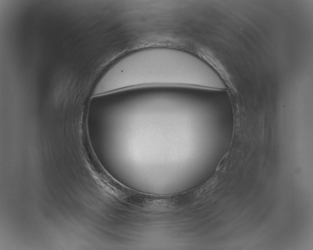 X0000074030058200608211147