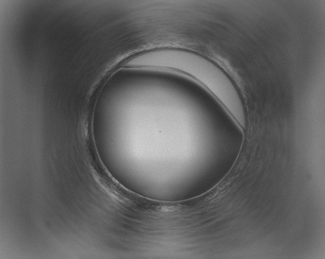X0000074030060200608211147