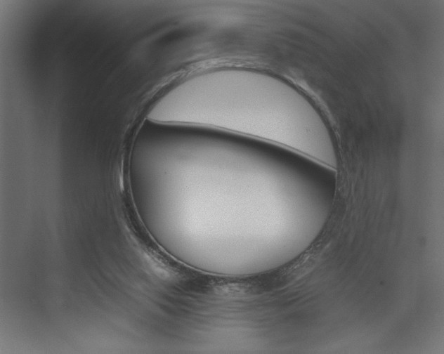 X0000074030062200608211147
