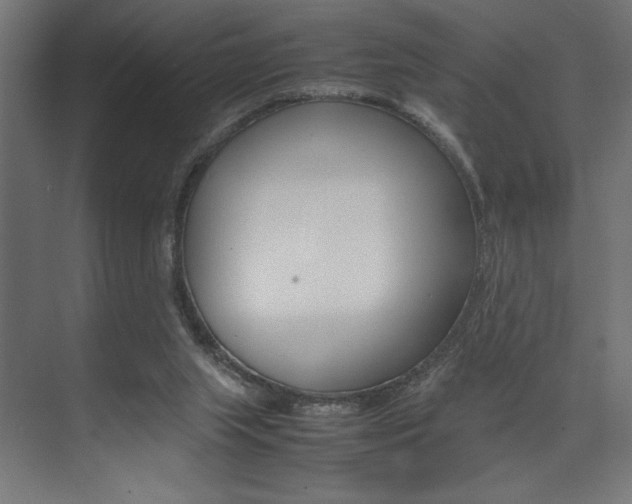 X0000074030063200608211147