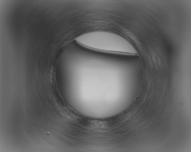 X0000074030073200608211147