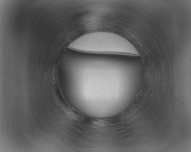 X0000074030079200608211147