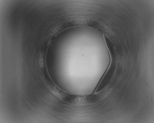 X0000074030080200608211147