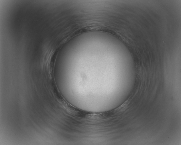 X0000074030082200608211147