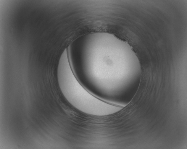 X0000074030088200608211147