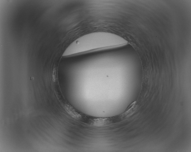 X0000074030090200608211147