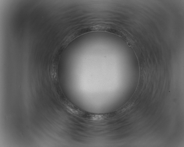 X0000074030091200608211147