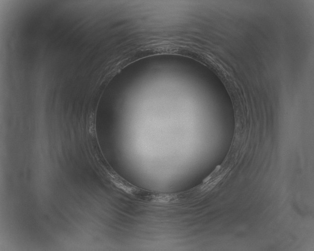 X0000074030096200608211147