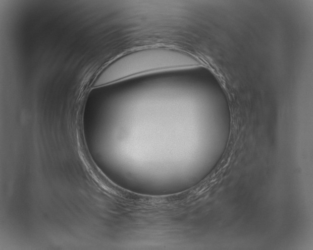 X0000074030097200608211147