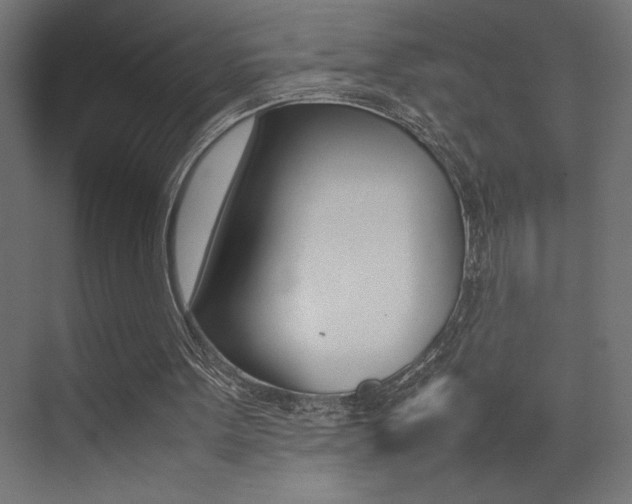 X0000074030099200608211146