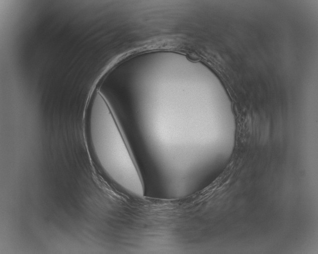 X0000074030100200608211146
