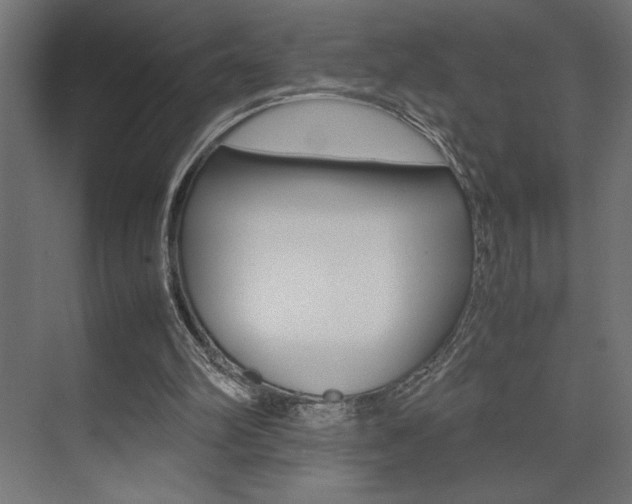 X0000074030102200608211146