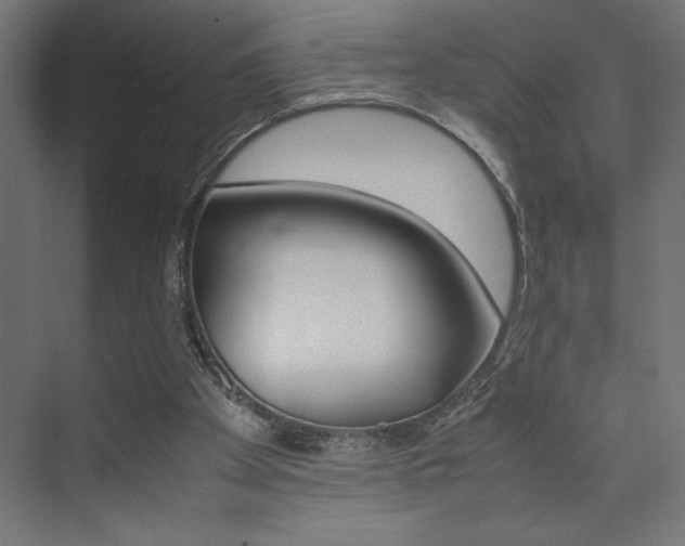 X0000074030105200608211146