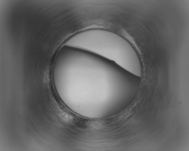 X0000074030106200608211146
