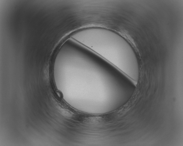 X0000074030108200608211146