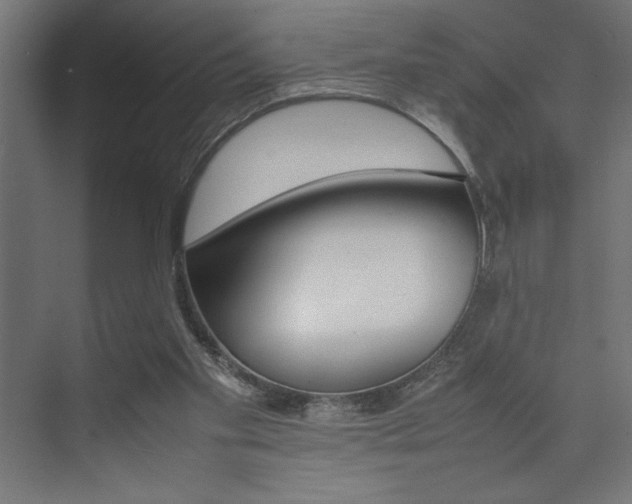 X0000074030109200608211146