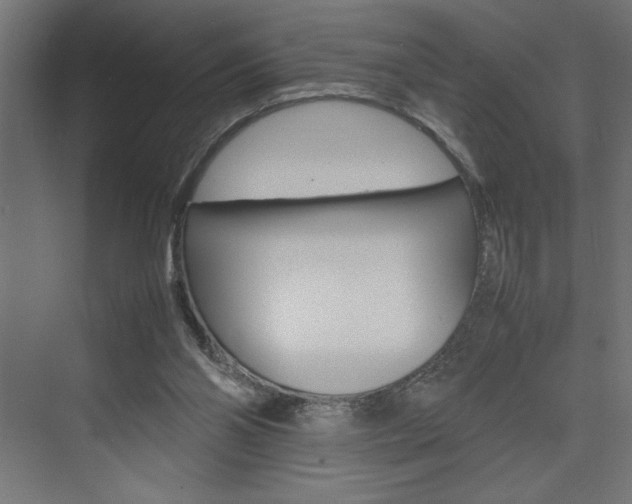 X0000074030110200608211146