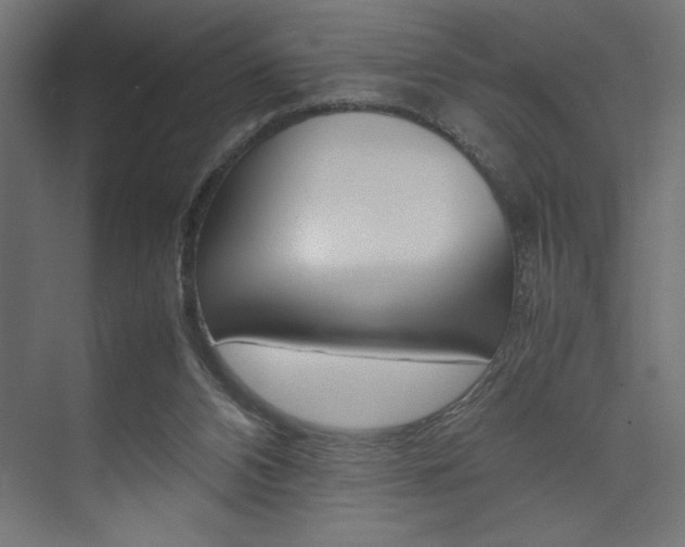 X0000074030112200608211146