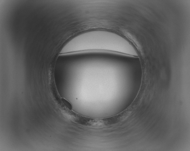 X0000074030113200608211146