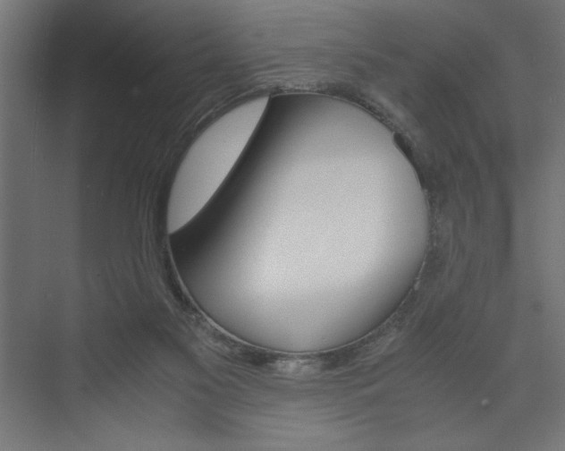 X0000074030117200608211146