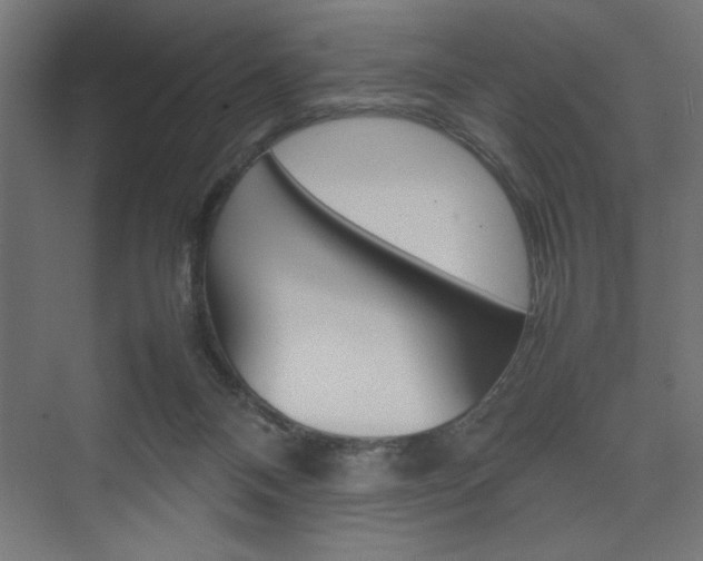 X0000074030120200608211146