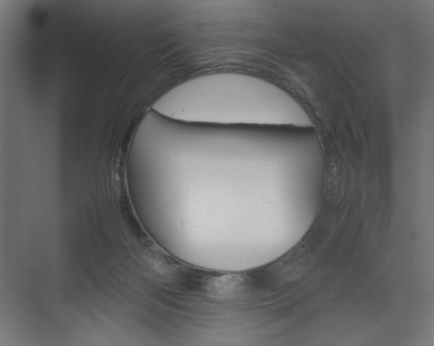 X0000074030122200608211146