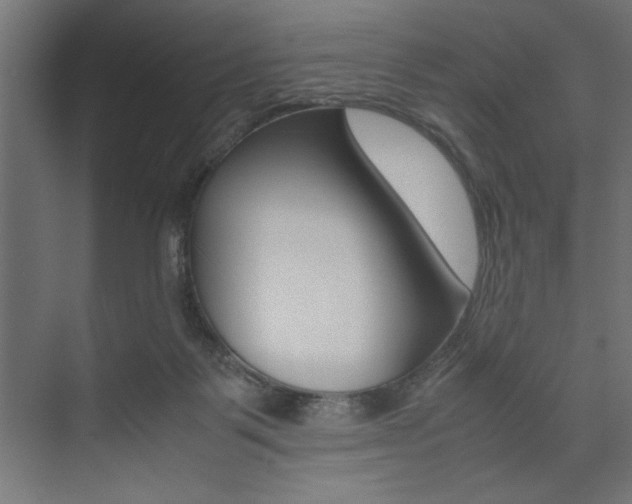 X0000074030123200608211146