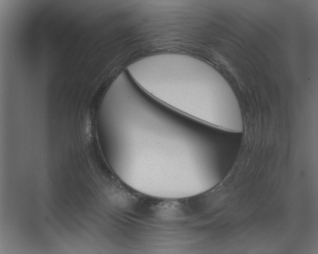 X0000074030124200608211146