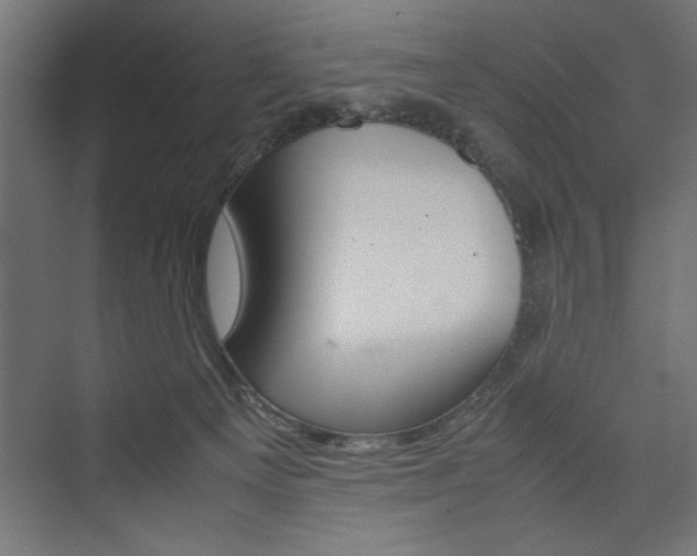X0000074030129200608211146