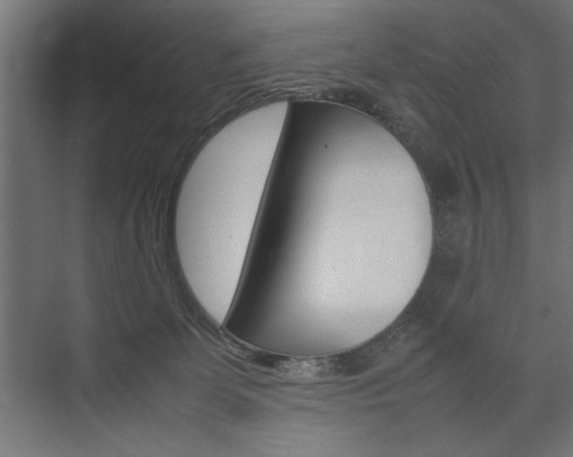 X0000074030131200608211146