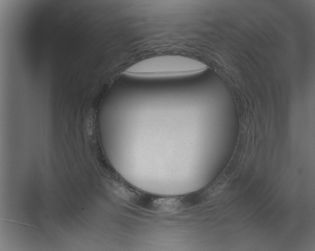X0000074030133200608211146