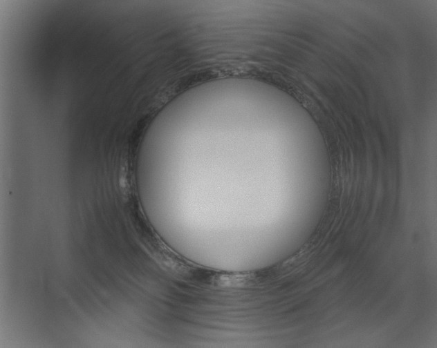 X0000074030134200608211146