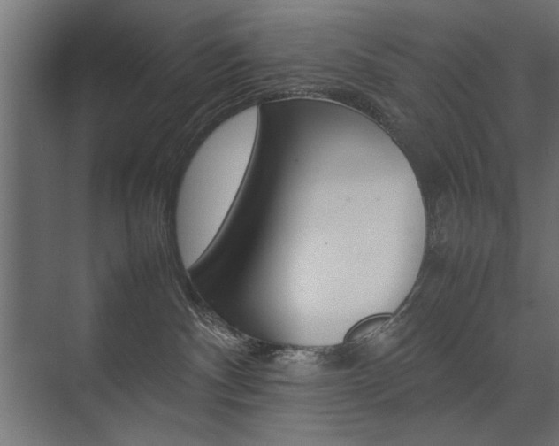 X0000074030140200608211146