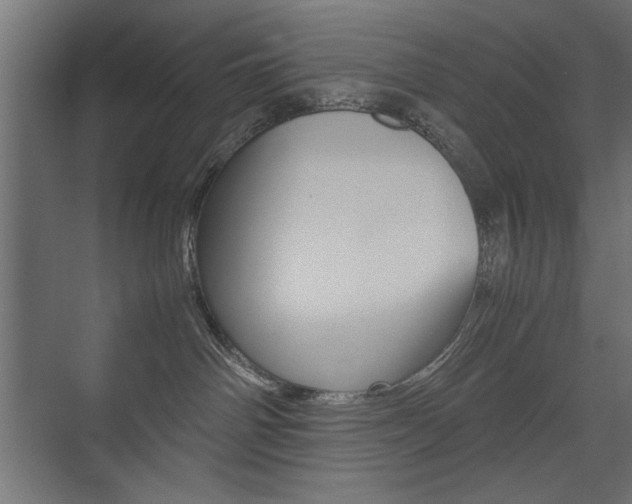 X0000074030142200608211146