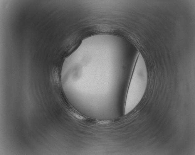 X0000074030143200608211146