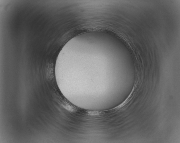 X0000074030144200608211146