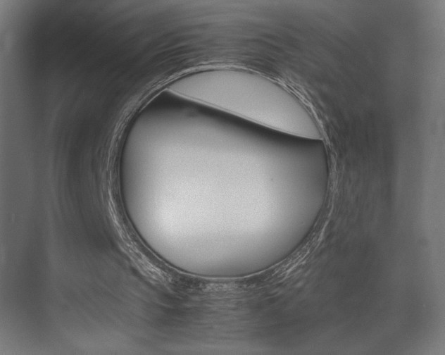 X0000074030145200608211145