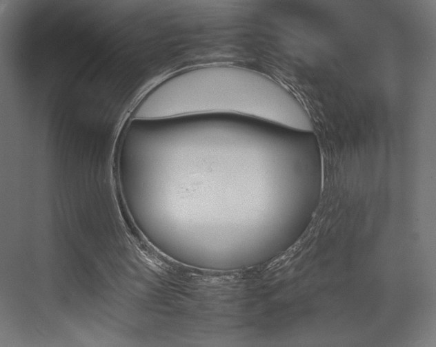 X0000074030147200608211145