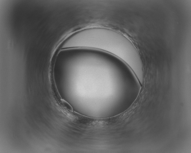 X0000074030152200608211145